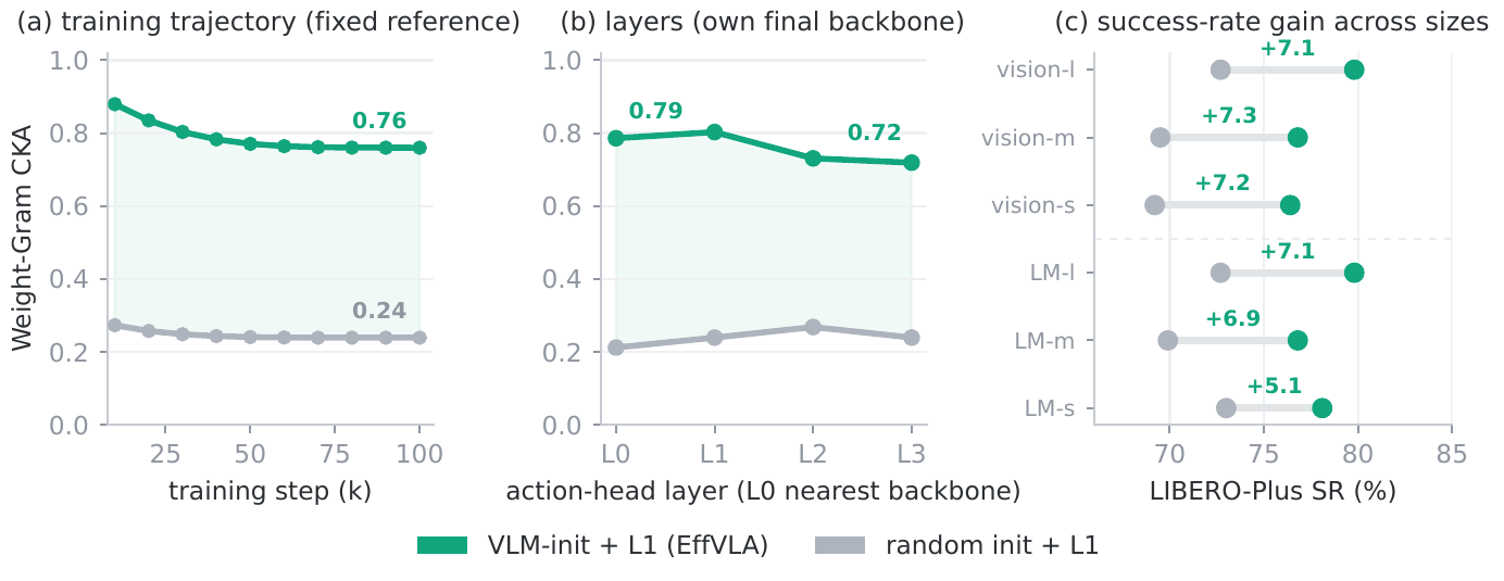CKA between action head and backbone through training and across layers, and the success-rate gain across sizes.